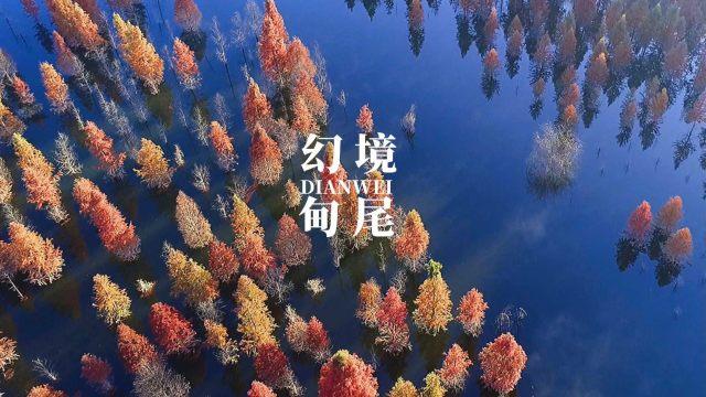 逗小猴开心系列172