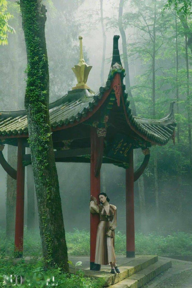 动物帮帮忙保卫家园