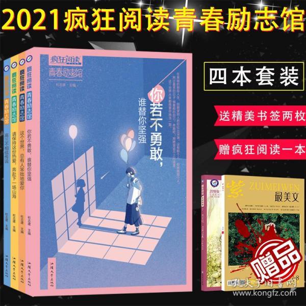 新高达破坏者