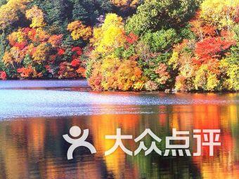 初生婴儿第一个月同第二个月有什么不同？游戏画面