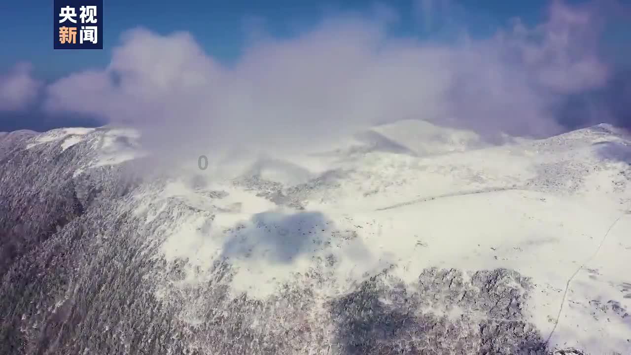 逃离幽灵之森