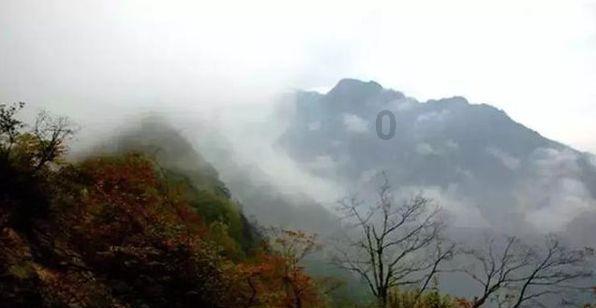 求生指南2