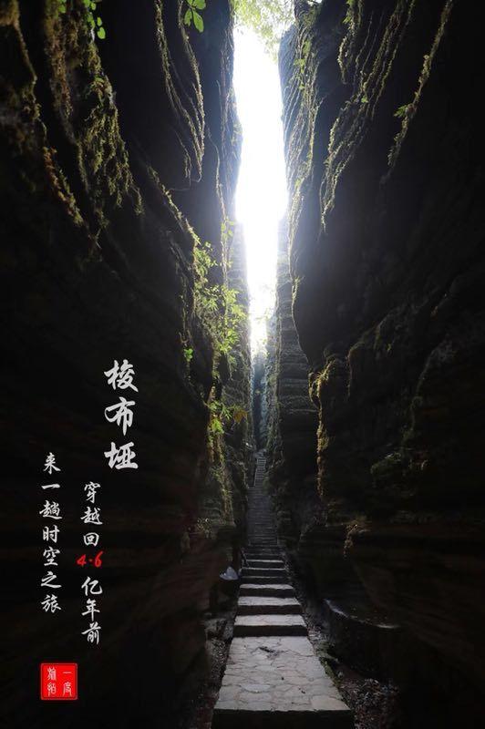 按点连线