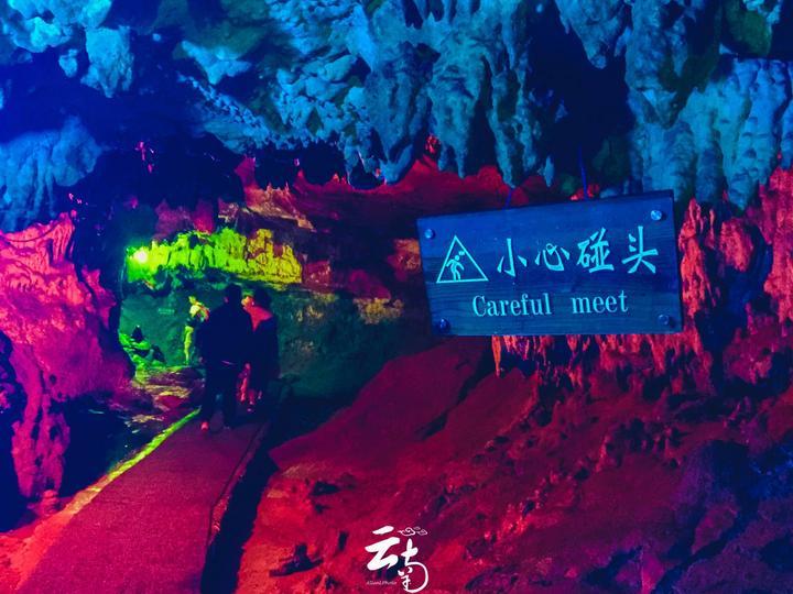 逗小猴开心系列208