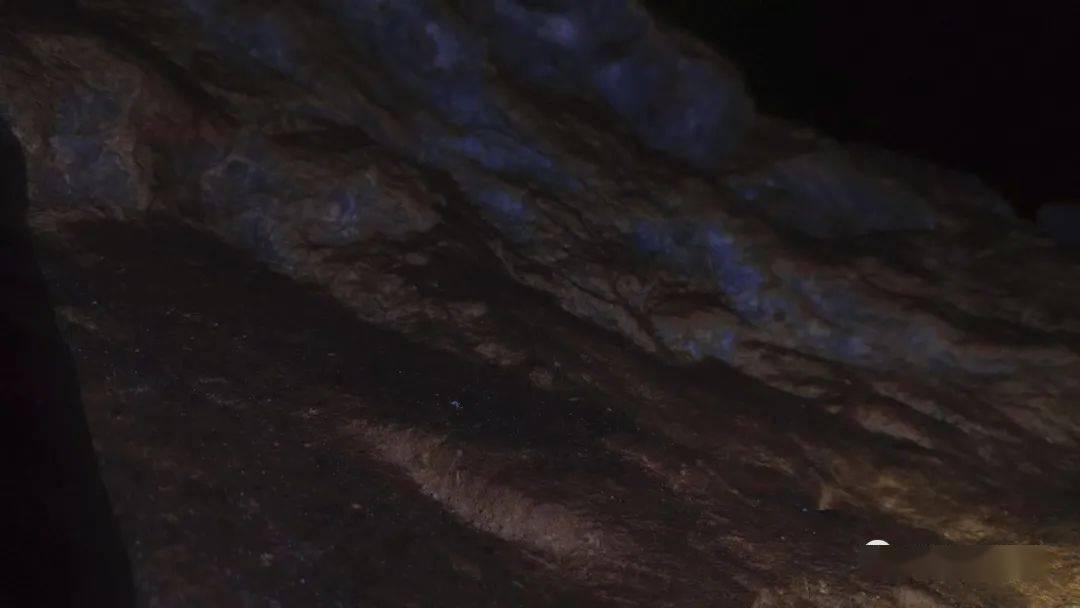 熊出没百层大冒险