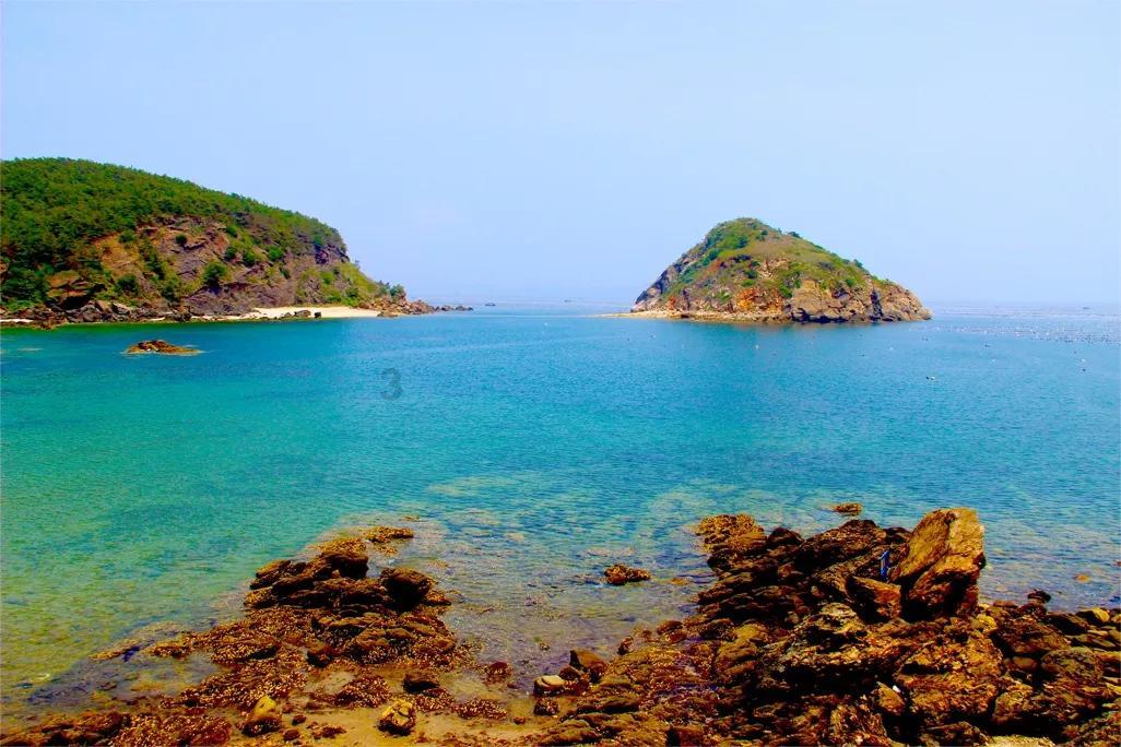 奥莉的夏威夷之旅