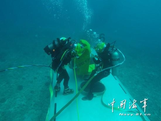哪位生物大神，能否解释一下生物中影响物质跨膜运输的因素中的这个图？游戏画面