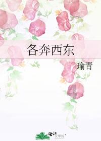 寻找我的礼物