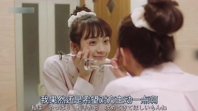 沙皮狗逃离