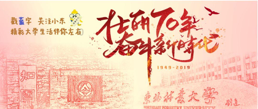 切实抓好主题教育成果转化 有效推动各项工作提质增效