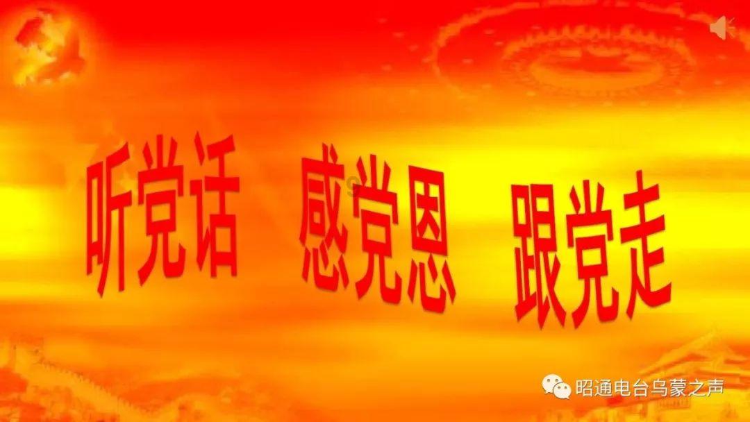 卑鄙的小妖精