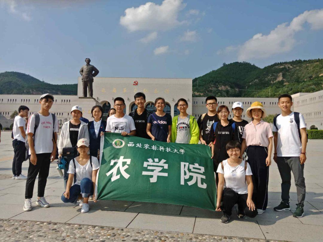 塞尔达荒野之息