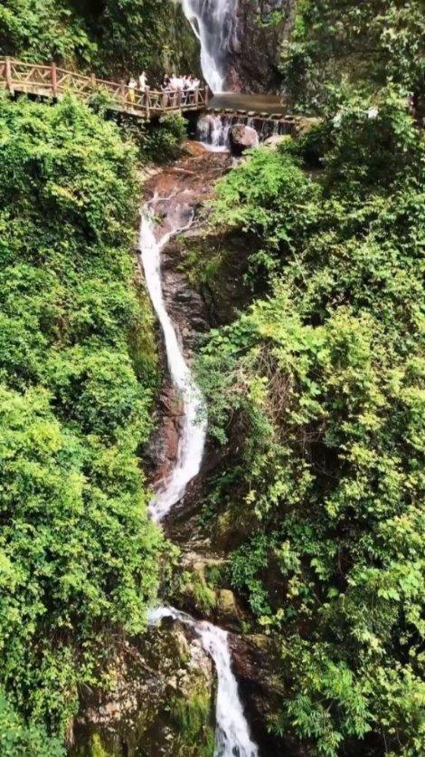 欧洲农民为何如此愤怒