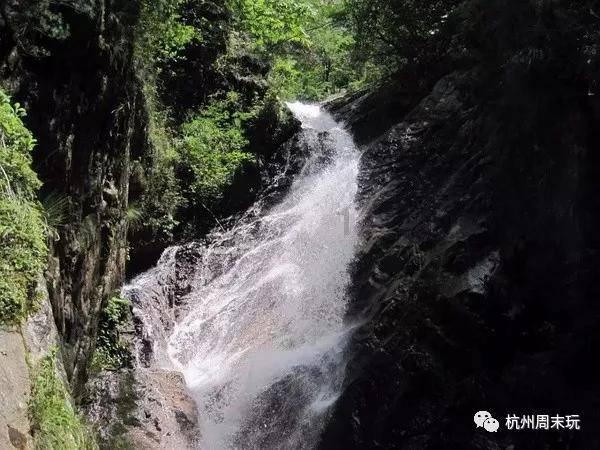哪位生物大神，能否解释一下生物中影响物质跨膜运输的因素中的这个图？游戏画面
