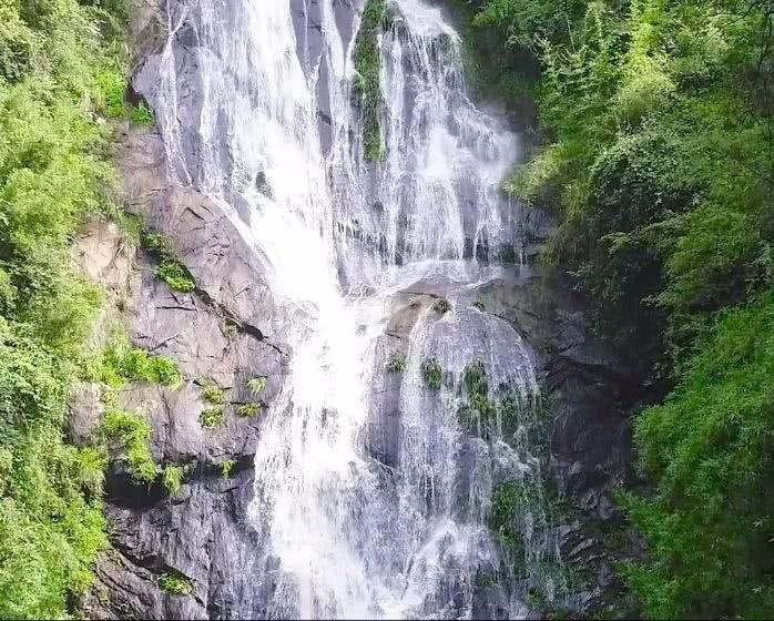 狐狸的旅程
