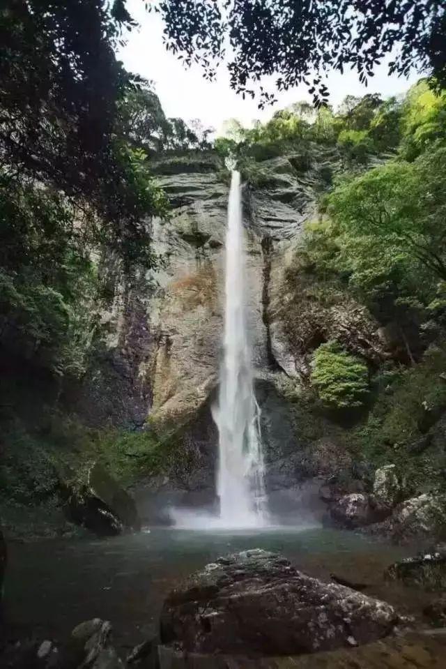 这是我的战争