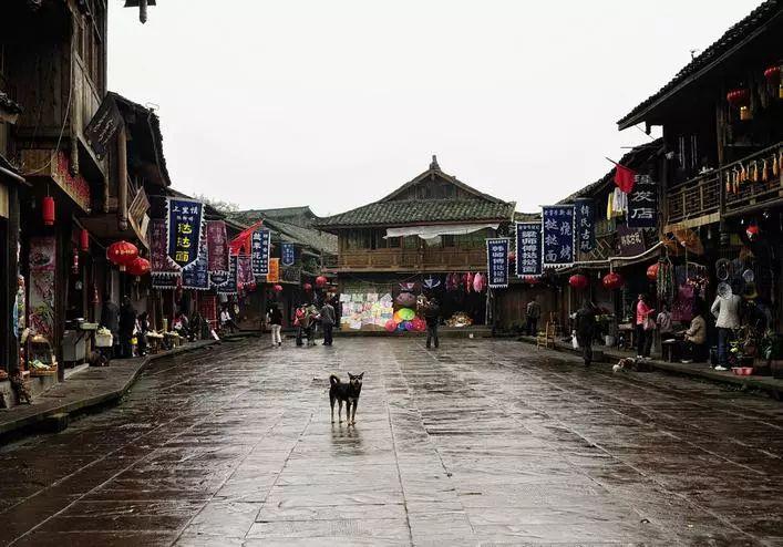 别吼你找的都是借口是什么歌？游戏画面