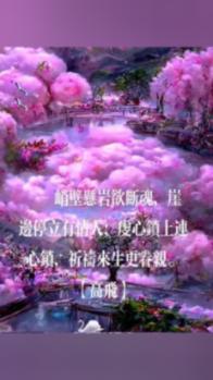 丛林森林逃生